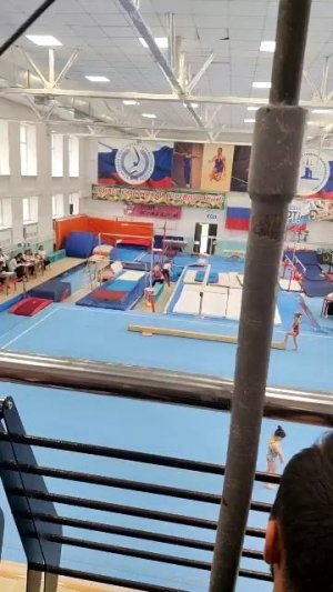 Спортивная гимнастика. Упражнение