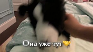 ОКСИ ТУТ!