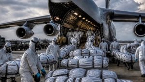 После прилета орешника в польском Жешуве десятки летающих моргов
