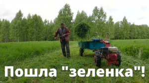 Резко похолодало! Доставка травы коровам ПО-НОВОМУ. Первый выезд на мотоблоке Беларус в поле