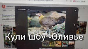 Кули Шоу - Оливье #Я #Вихрицкий #Блогер #кулинарноешоу #оливье #еда #готовка #кухня #пир #салат #мы