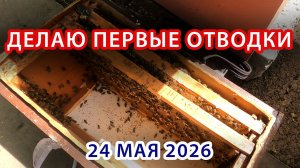 ДЕЛАЮ ПЕРВЫЕ ОТВОДКИ