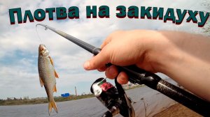 Рыбалка на донки в новом месте! Прикормил плотву и упустил бонус!