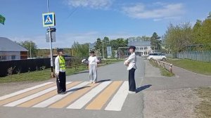 Пешеходы и переходные переходы.