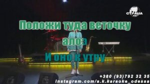 Алоэ(AK)~___Асия #караоке #подпишись #тренды #Kurkov @a.k.karaoke💖