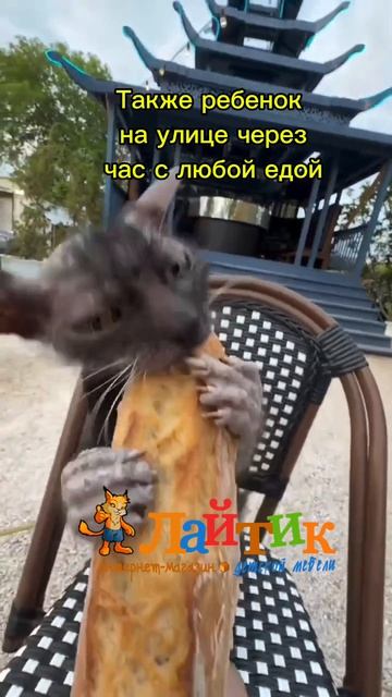 Пикник для ребенка