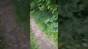 Ючасть 2 иду в магаз