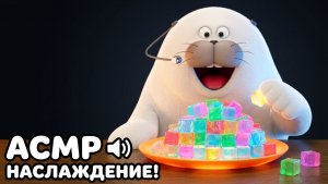 Морские Котики: ASMR Мукбанг Пухляша #006 🔈😋 Подборка эпизодов