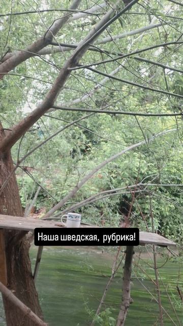 VID_20260517_212832_619