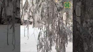 Желаем хорошего дня и настроения! Не болейте и будьте здоровы.