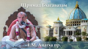 29.05.2026 || Шримад Бхагаватам 11.8.17 | Е.М. Анагха дас
