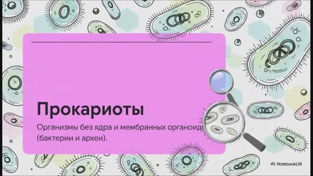 Биология 10 класс § 20 Особенности строения клеток прокариотов и эукариотов
