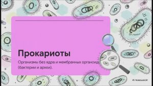 Биология 10 класс § 20 Особенности строения клеток прокариотов и эукариотов