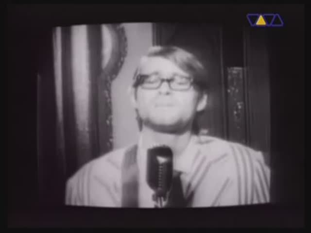 Nirvana - In Bloom