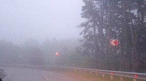 Дорога в туман..