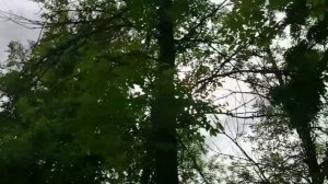 Солнце дарит нам лучи на вечер