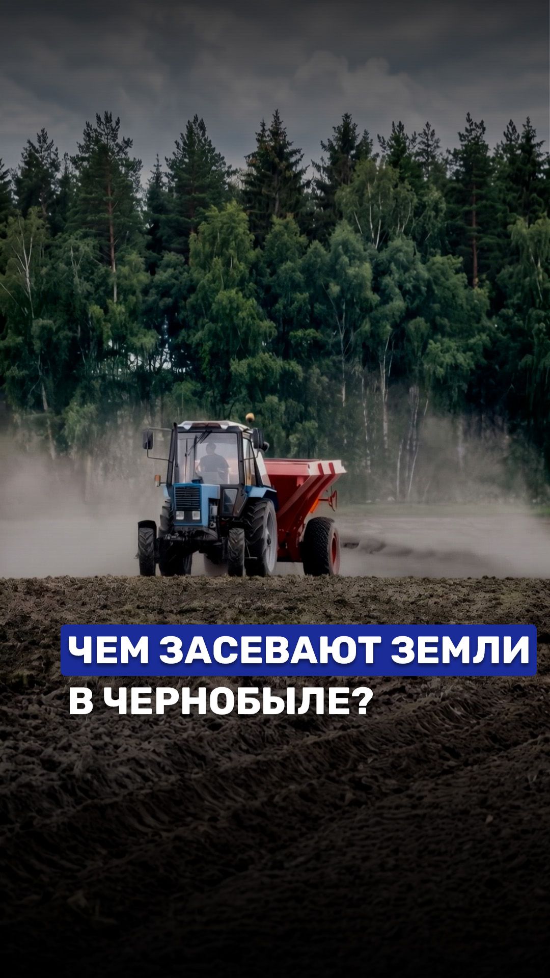 Чем засевают земли в Чернобыле? #беларусь1 #чернобыль #чаэс #чернобыль40лет #беларусь1
