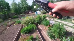 Завтракаем и на дачу.