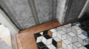 новая игрушка для нашей кошки