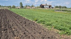 посадили картошку/ пробуем кашу/