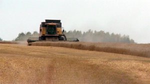Аграрии в рамках посевной кампании засеяли три четверти всех запланированных площадей.