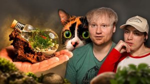 Я СДЕЛАЛ ВОДНЫЙ ТЕРРАРИУМ С ЖИВОТНЫМ В ЛАМПОЧКЕ РЕАКЦИЯ на SlivkiShow