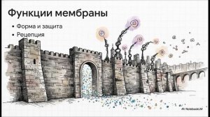 Биология 10 класс § 16 Строение клетки Клеточная мембрана