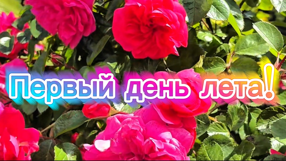 Первый день лета. Поздравляю вас с первым днём лета смотреть онлайн