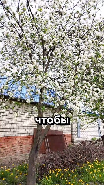 Мудрости, которые смогут изменить вашу жизнь. смотреть онлайн