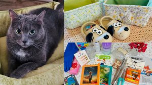 🛍️🔥ЗАКУПИЛАСЬ КРАСОТОЙ В ФИКС ПРАЙС, ФАМИЛИИ, ЧИЖИКЕ И ГЛОБУСЕ🌷 ОБЗОР МОИХ ПОКУПОЧЕК #счастьеесть