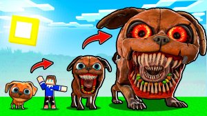 ВСЯ ЭВОЛЮЦИЯ ЧОМПИ ЧЕЙСИ ИЗ DARL PALS В МАЙНКРАФТ