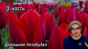 3 часть. Силы оставили оп@рышей😭❗️ДОЛГ оказался НЕПОСИЛЬНЫЙ😱❗️