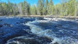 Сплав по реке Кереть 22.05.26 - 23.05.26