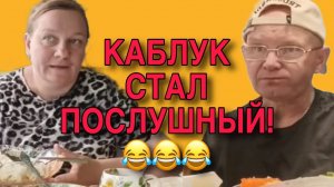 КАБЛУК СТАЛ ПОСЛУШНЫЙ. ОЛЬГА ИЗ ЗАУРАЛЬЯ. ОБЗОР.