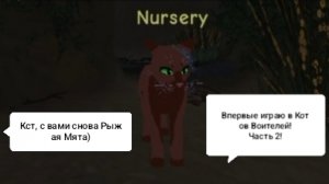 ВПЕРВЫЕ ИГРАЮ В КОТОВ ВОИТЕЛЕЙ В РОБЛОКС ЧАСТЬ 2!/Я в шоке от этой имбы 😍/💠Proxy💠АВ/КВ