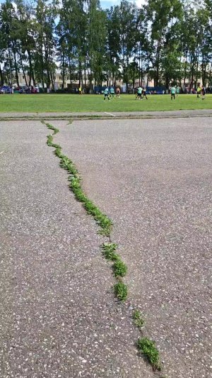 футбол посёлок куеда