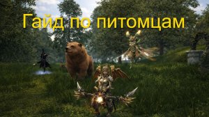 Lee Christmas. Гайд по питомцам R2 Remastered