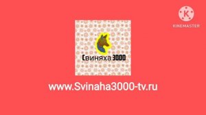 Заставка (Свиняха 3000 ТВ с сайтом, 27.05.2026-н.в.)