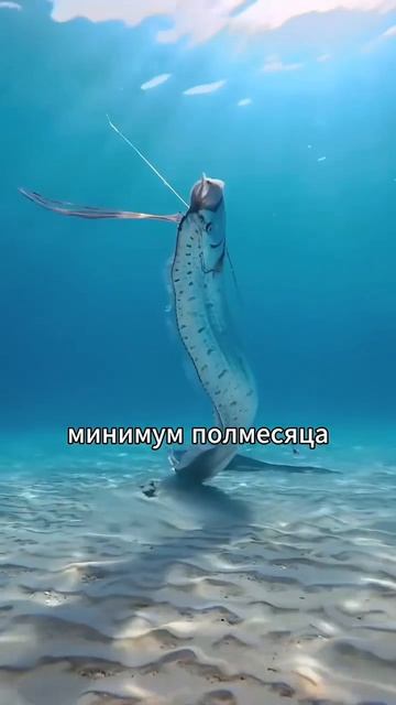#популярное