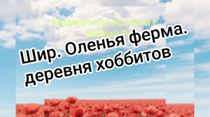 где отдохнуть с детьми.ДЕРЕВНЯ ХОББИТОВ