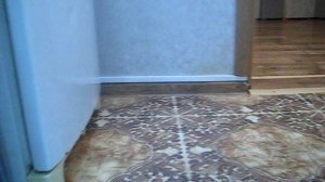 Блогер Тимоша