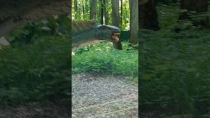 Интересное видео про динозавров.🦕