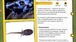 Древолазы