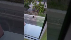 трансляция