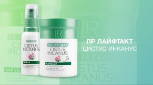 Цистус Инканус Капсулы, проф.В.А. Дадали