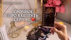 🔥СРОЧНОЕ ПРО ВАШ ПУТЬ СЕЙЧАС🔥❤️😍🌿🎁✨ таро расклад онлайн, гадание онлайн