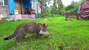 Майская суета в деревне
