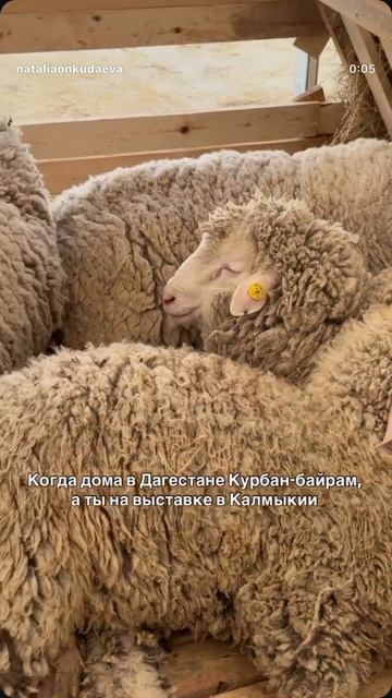 Лучше переспать, чем не доесть.
