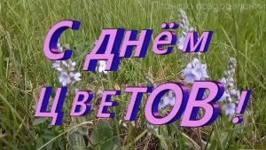 С днем цветов! 21 июня день цветов