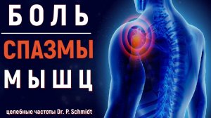 💡Освобождение от Спазмов и Боли в Мышцах: Звуковые Частоты по Методике Д-ра Шмидта